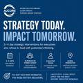 Global Executive Institute (GEI) - Lead Smarter. Move Faster. Win Globally.